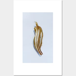 Dried Okra Pod Posters and Art